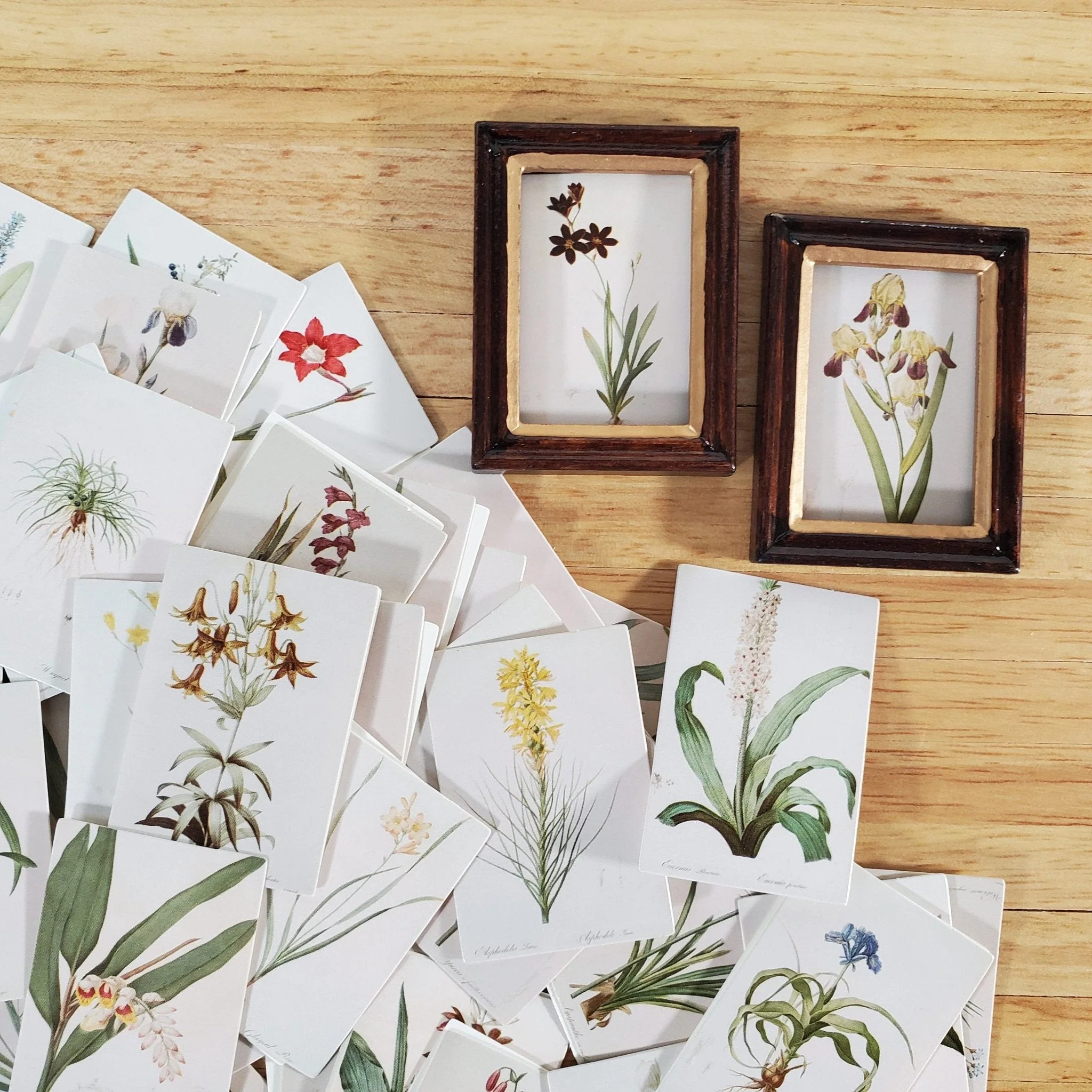 100 Mini Nature Botanical Prints on Cardstock Flowers Floral Vintage Pictures Scrapbooking Stamping - Image 3