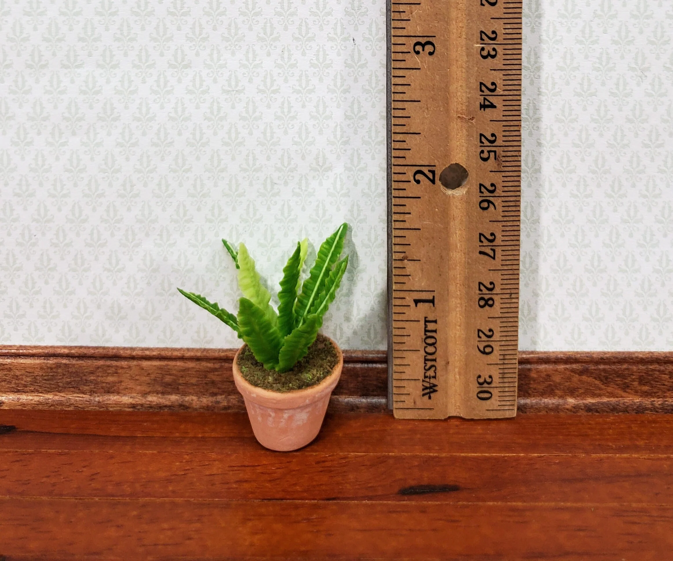 Dollhouse Houseplant Broadleaf Fern in a Terra Cotta Pot 1:12 Scale Miniature Plant - Image 2