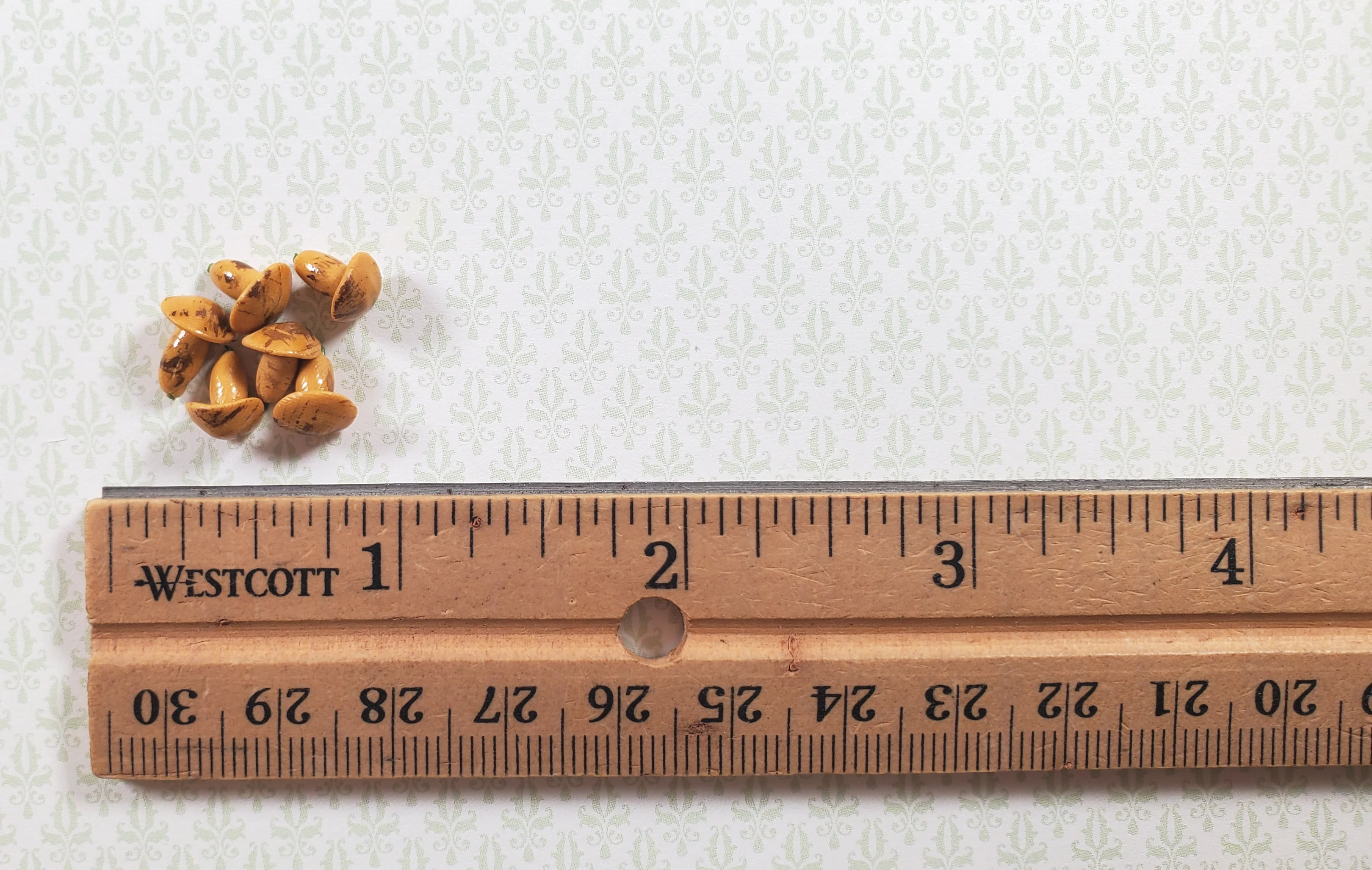 Dollhouse Mushroom Set of 6 1:12 Scale Miniature Food Kitchen Groceries - Image 3