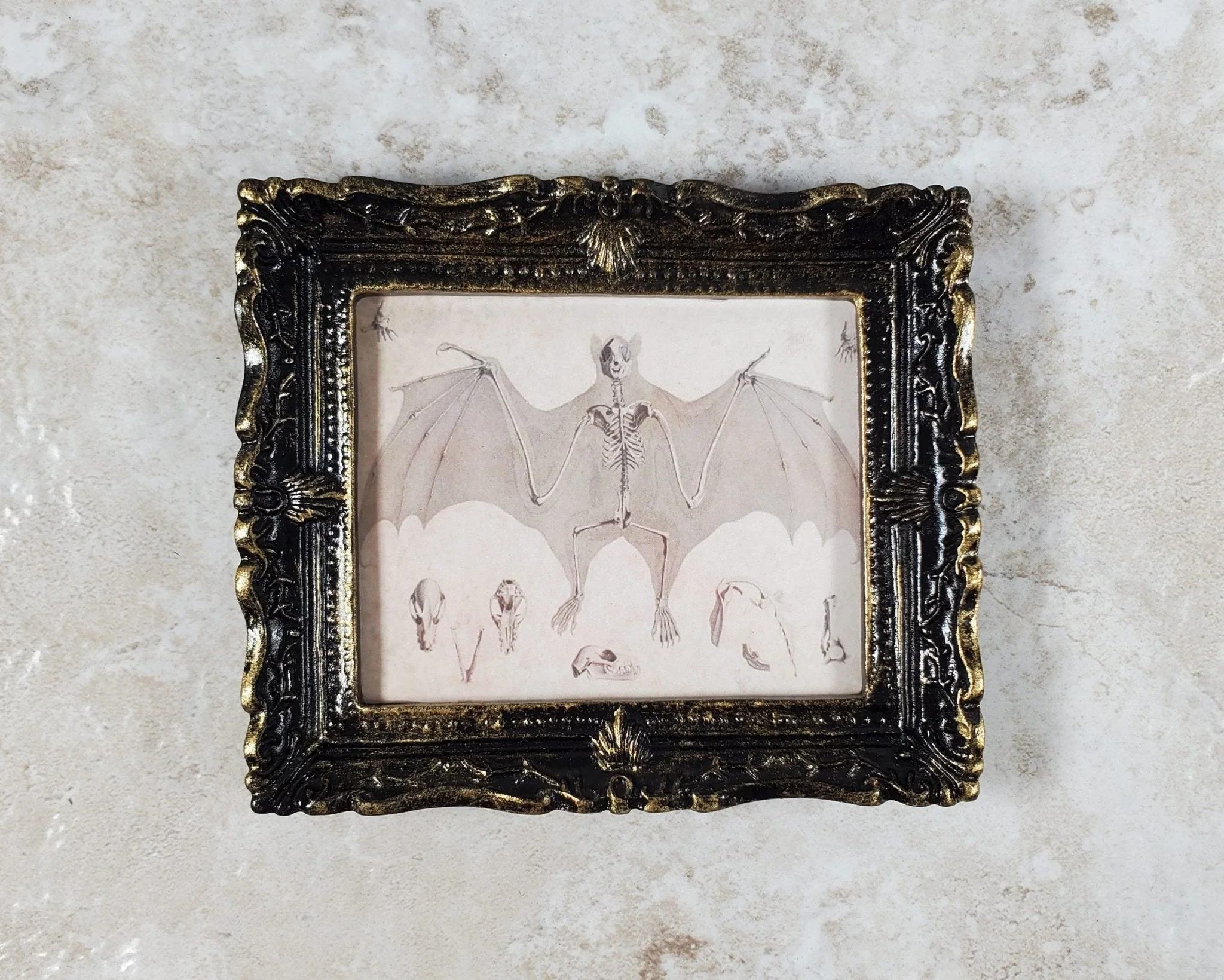 Miniature Bat Skeleton Drawing Framed Print 1:12 Scale Dollhouse Halloween