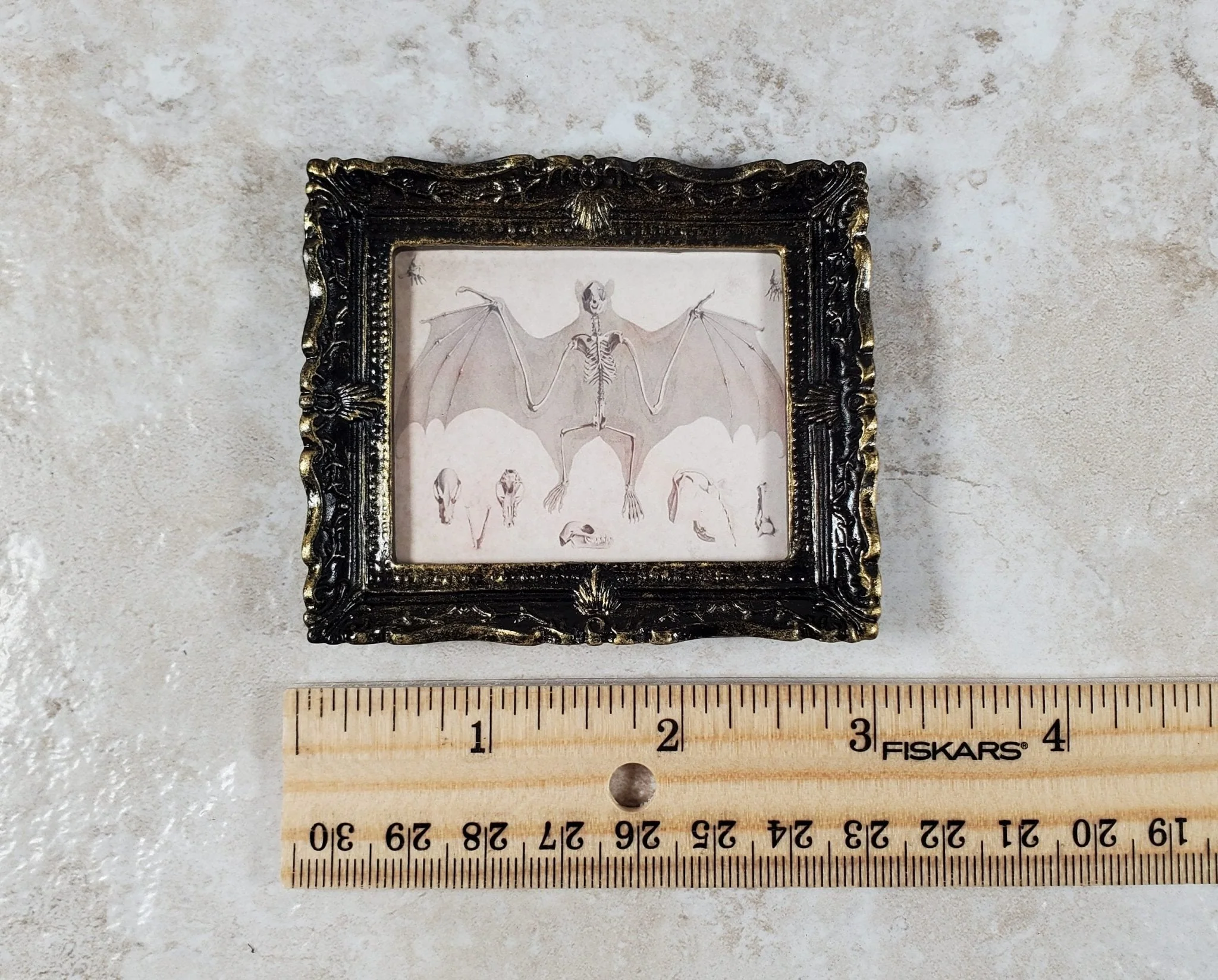 Miniature Bat Skeleton Drawing Framed Print 1:12 Scale Dollhouse Halloween - Image 4