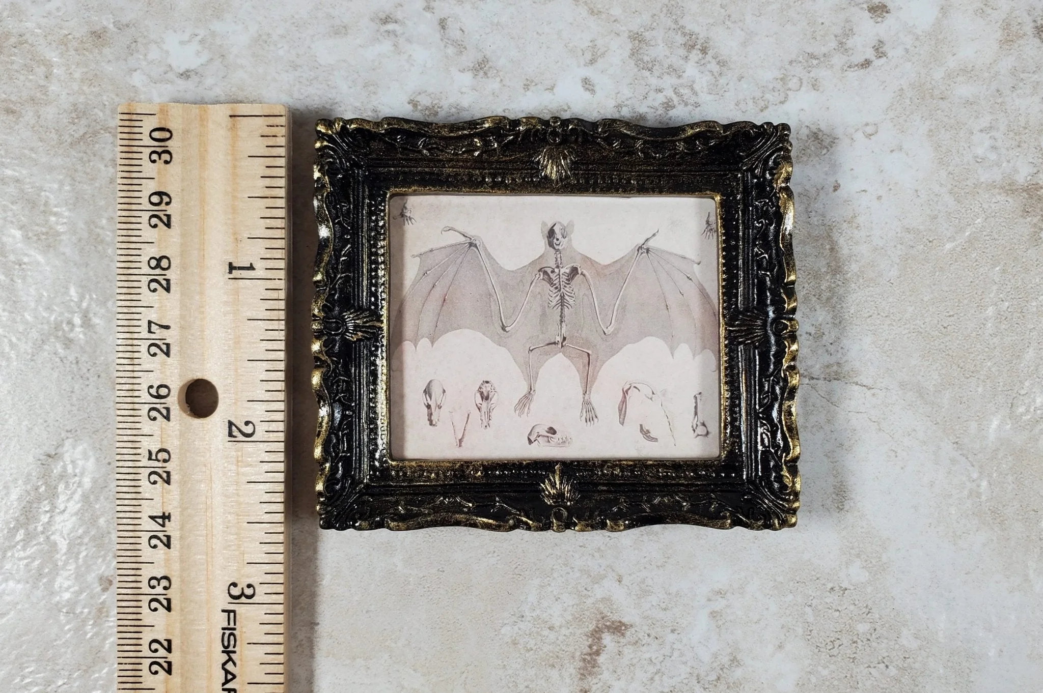 Miniature Bat Skeleton Drawing Framed Print 1:12 Scale Dollhouse Halloween - Image 5