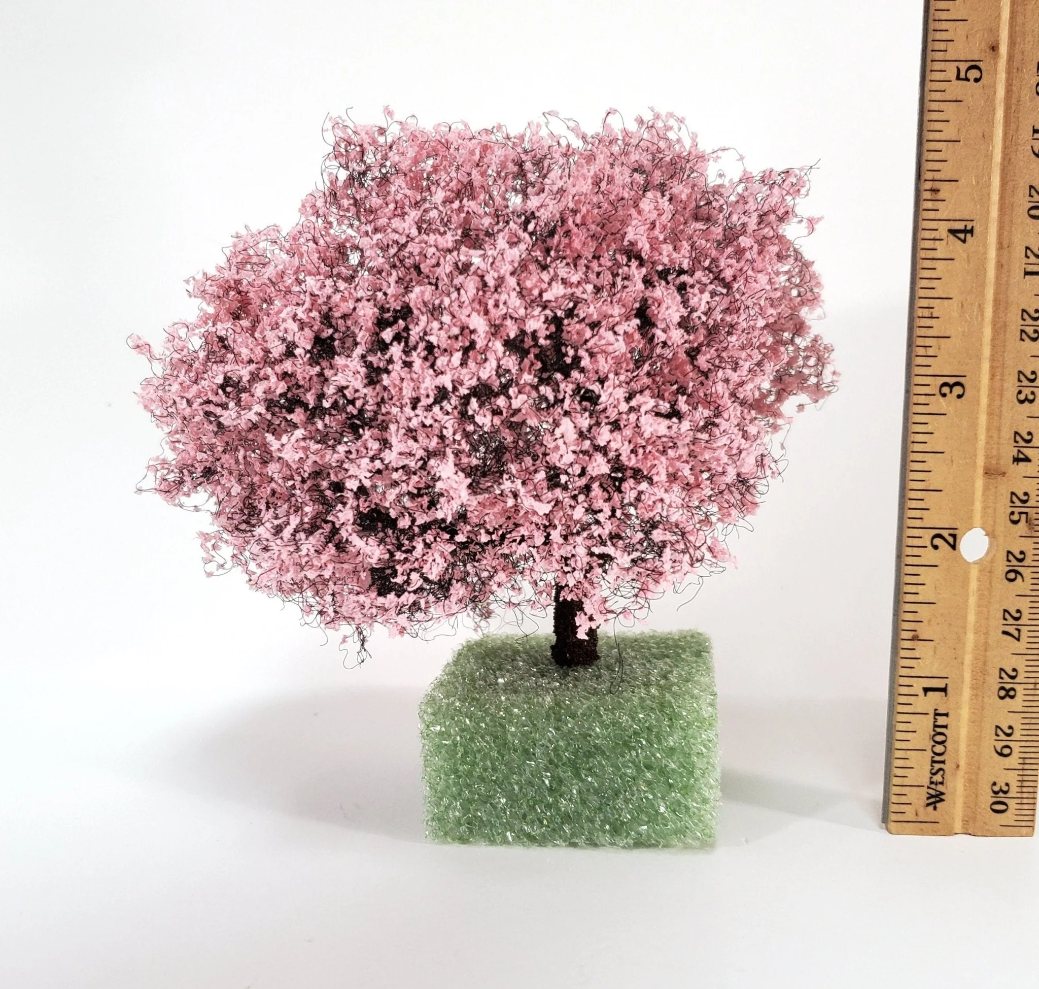 Miniature Flowering Cherry Tree or Bush Large Pink & White 4" Tall - Image 3