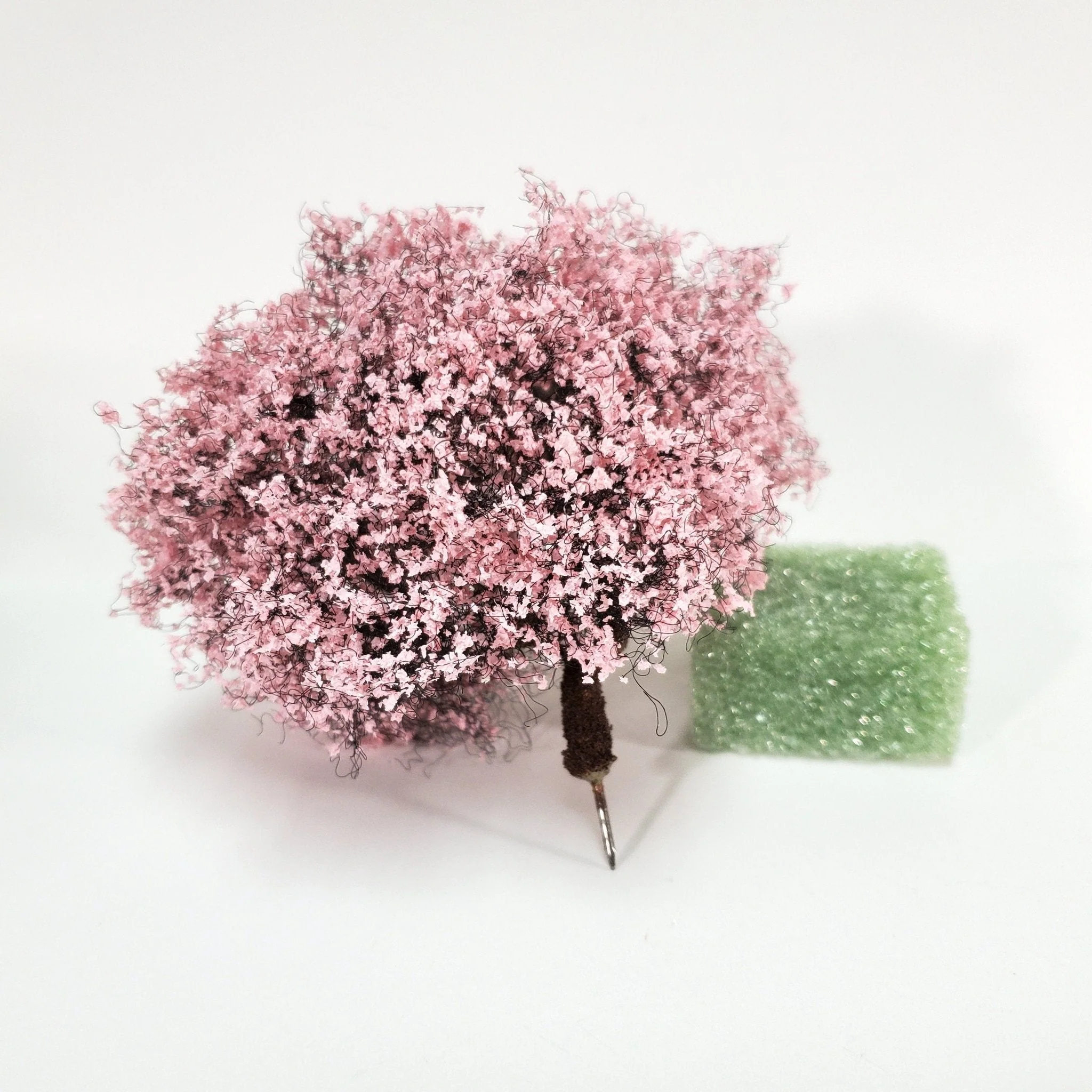 Miniature Flowering Cherry Tree or Bush Large Pink & White 4" Tall - Image 4
