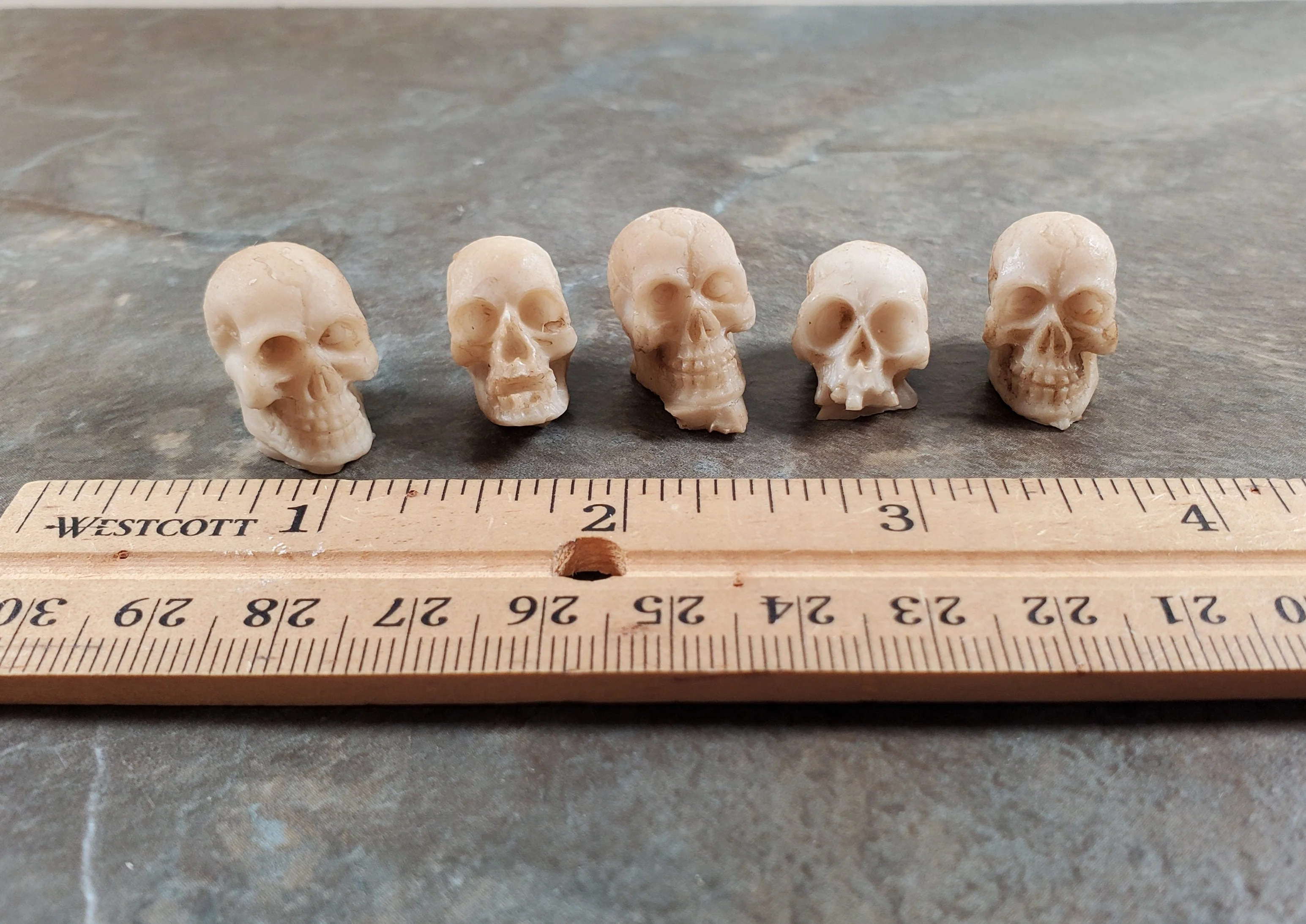 Miniature Skulls Tiny 5 Random 1:12 Scale Halloween Decoration Scale Model Resin - Image 5
